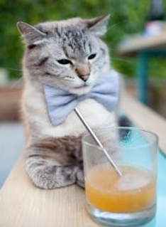 “法甲豪门对决,胜负关系到联赛命运”,法甲豪门有哪些球队