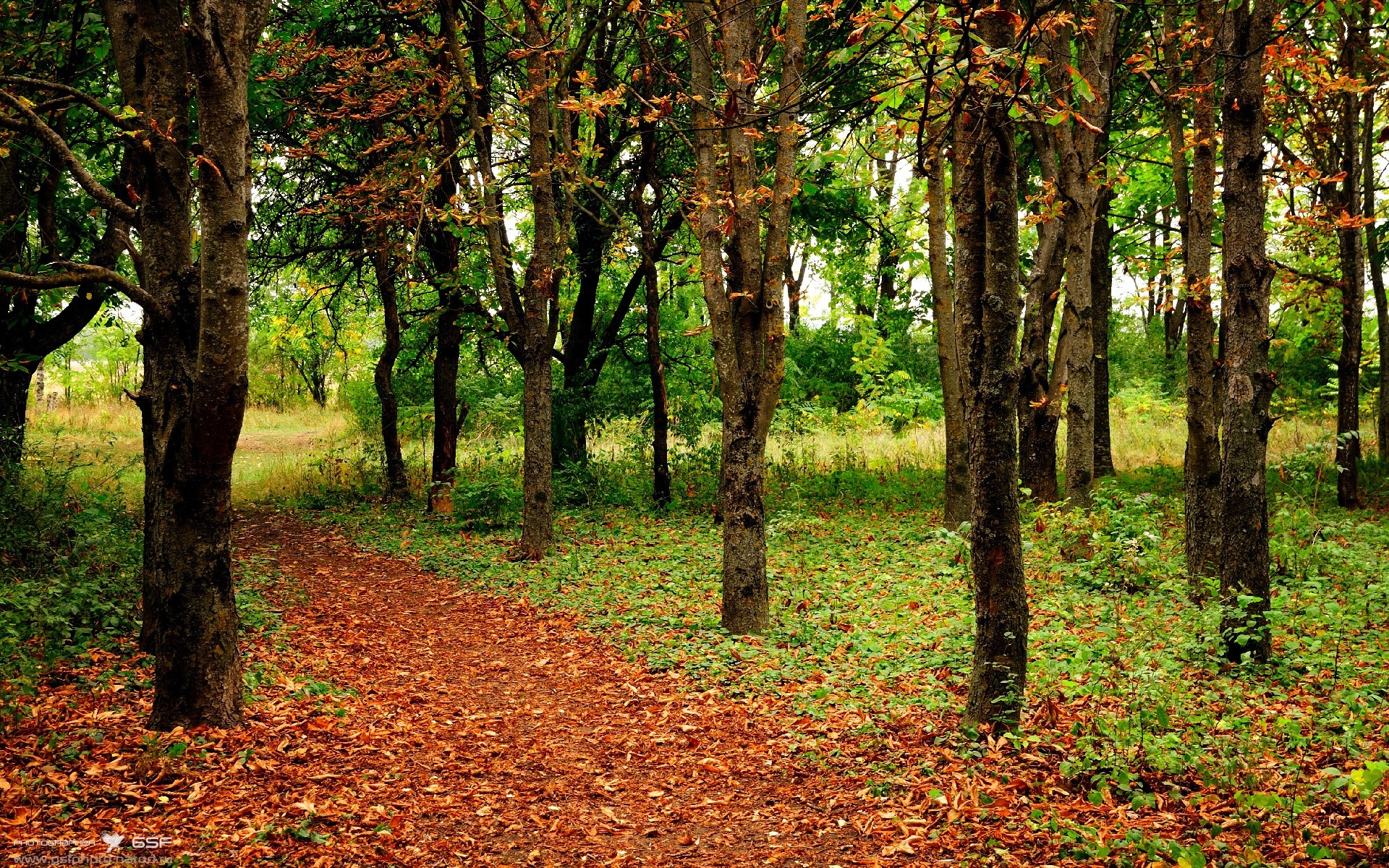 开云体育视频直播-《Dota 2国际邀请赛，英雄战场硝烟再起》，dota2国际邀请赛2020在哪里举办