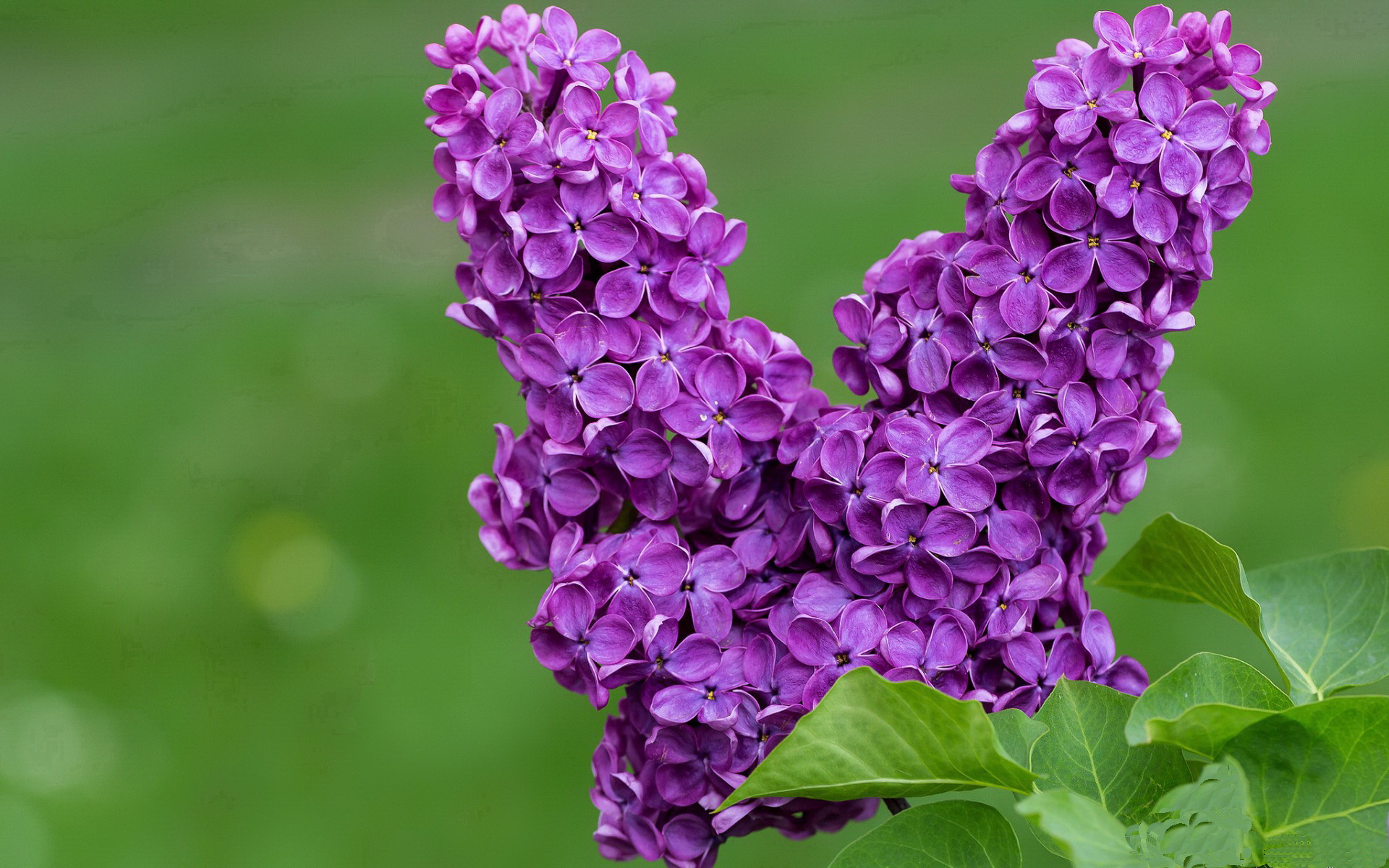 kaiyun官方入口登录-史上最“燃”季后赛夜战，哪场比赛最令人难忘？，季后赛战报