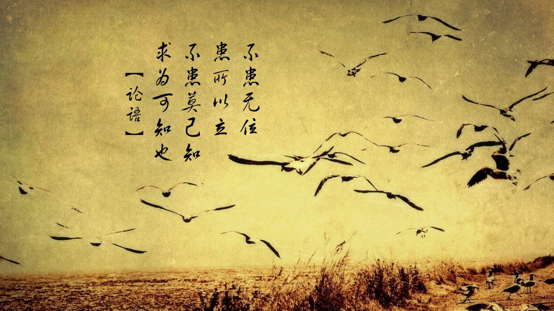 夜空下的高空秋千体验，挑战勇气的极限，高空秋千在哪里