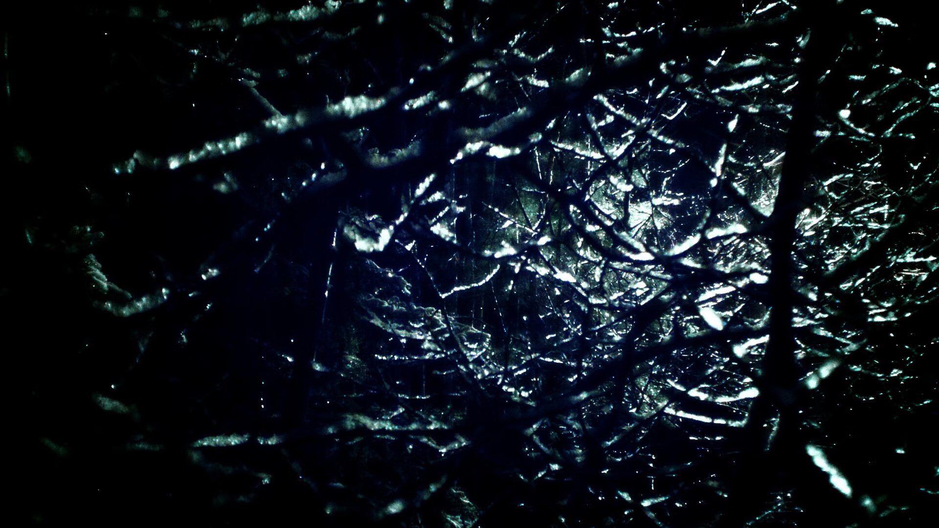 开云·体育官网-夜空星光下的天文体育夜跑