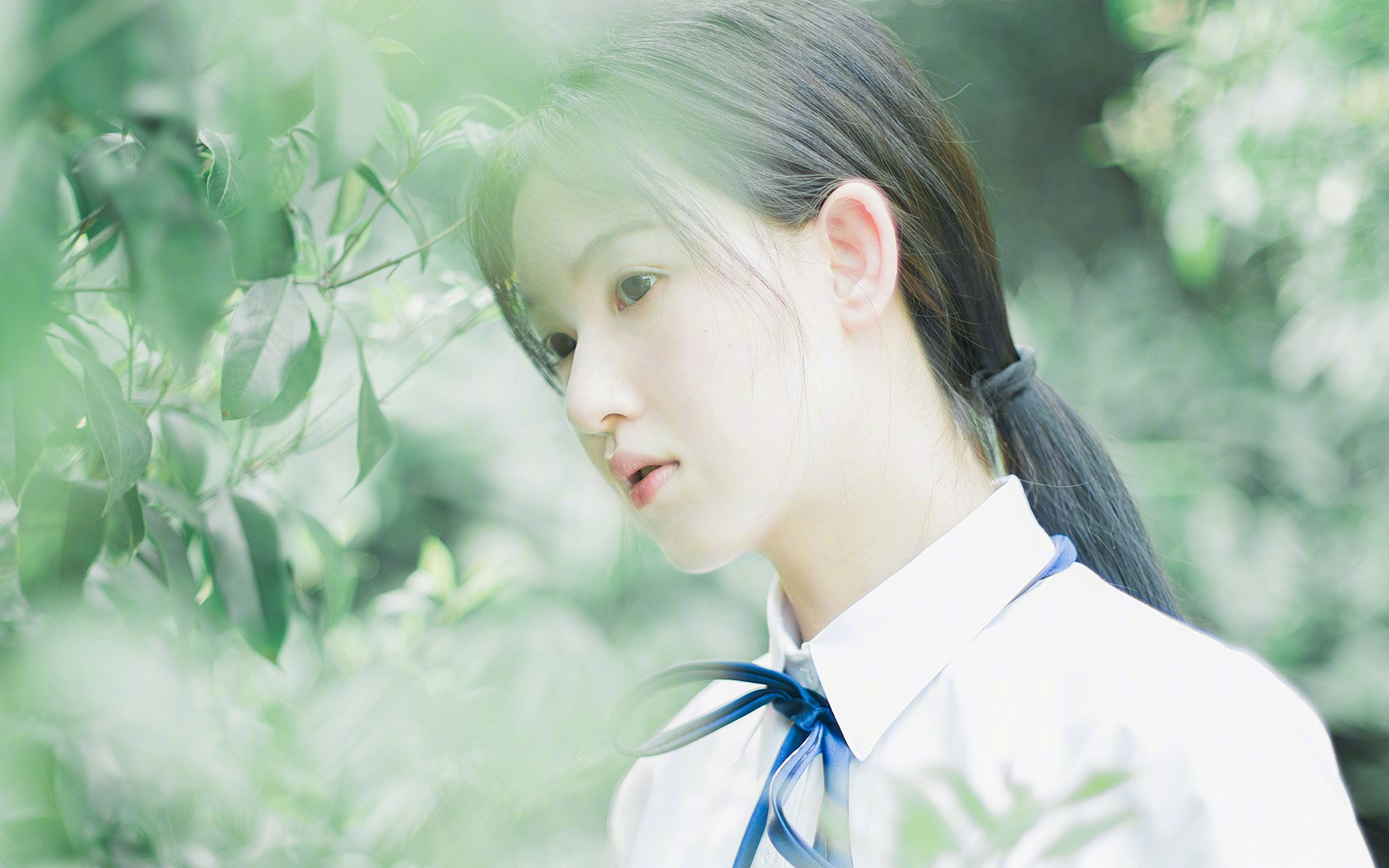 欧冠“黑马军团”：那些未被看好的球队逆袭成功，欧洲黑马球队