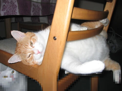 电竞赛事现场氛围火爆，粉丝互动环节精彩纷呈，电竞比赛互动