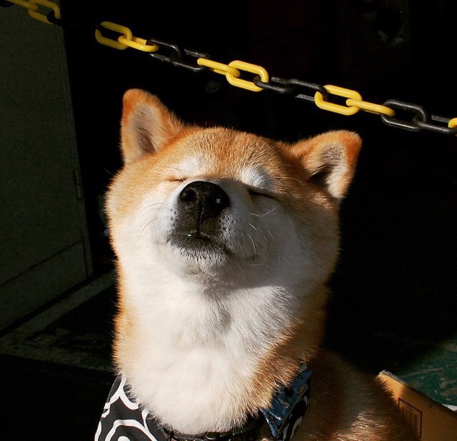 布莱顿中场组织出色，海鸥军团有望挺进前十，布莱顿海湾