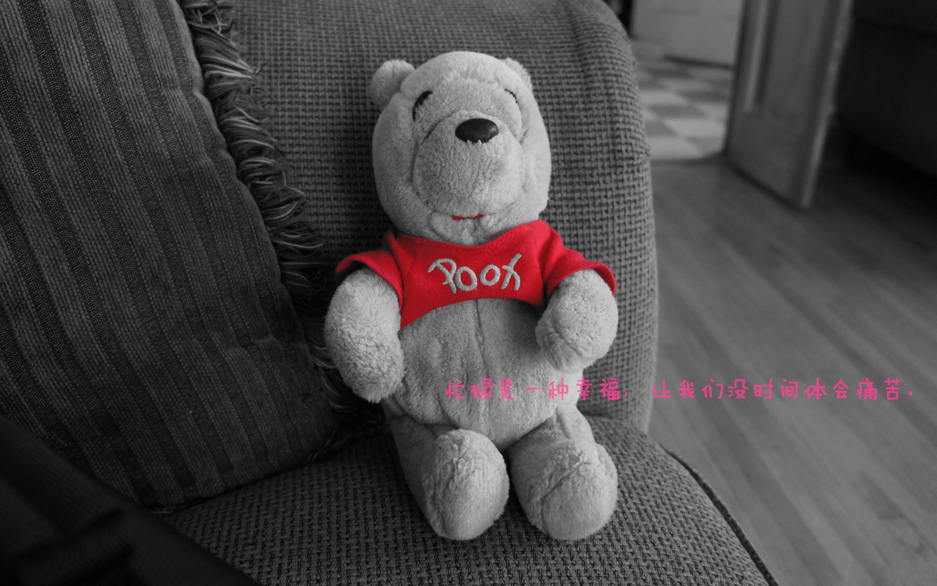 申花主帅赛后点评,欲提升球队战绩,申花 换帅