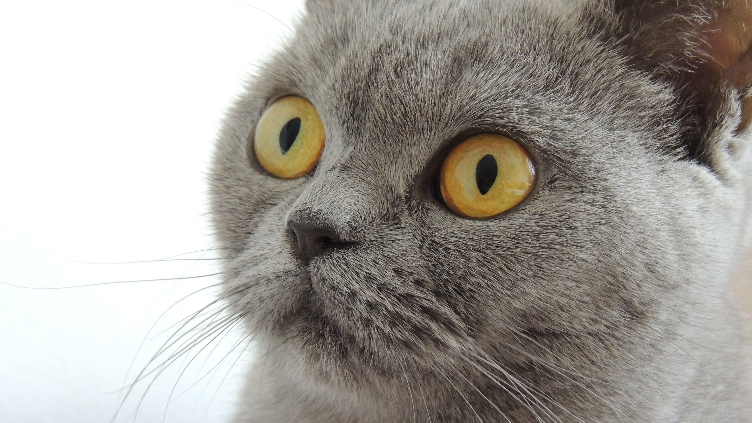 Kaiyun官方登录入口-西班牙联赛关键场次引人关注，西班牙联赛一共多少场