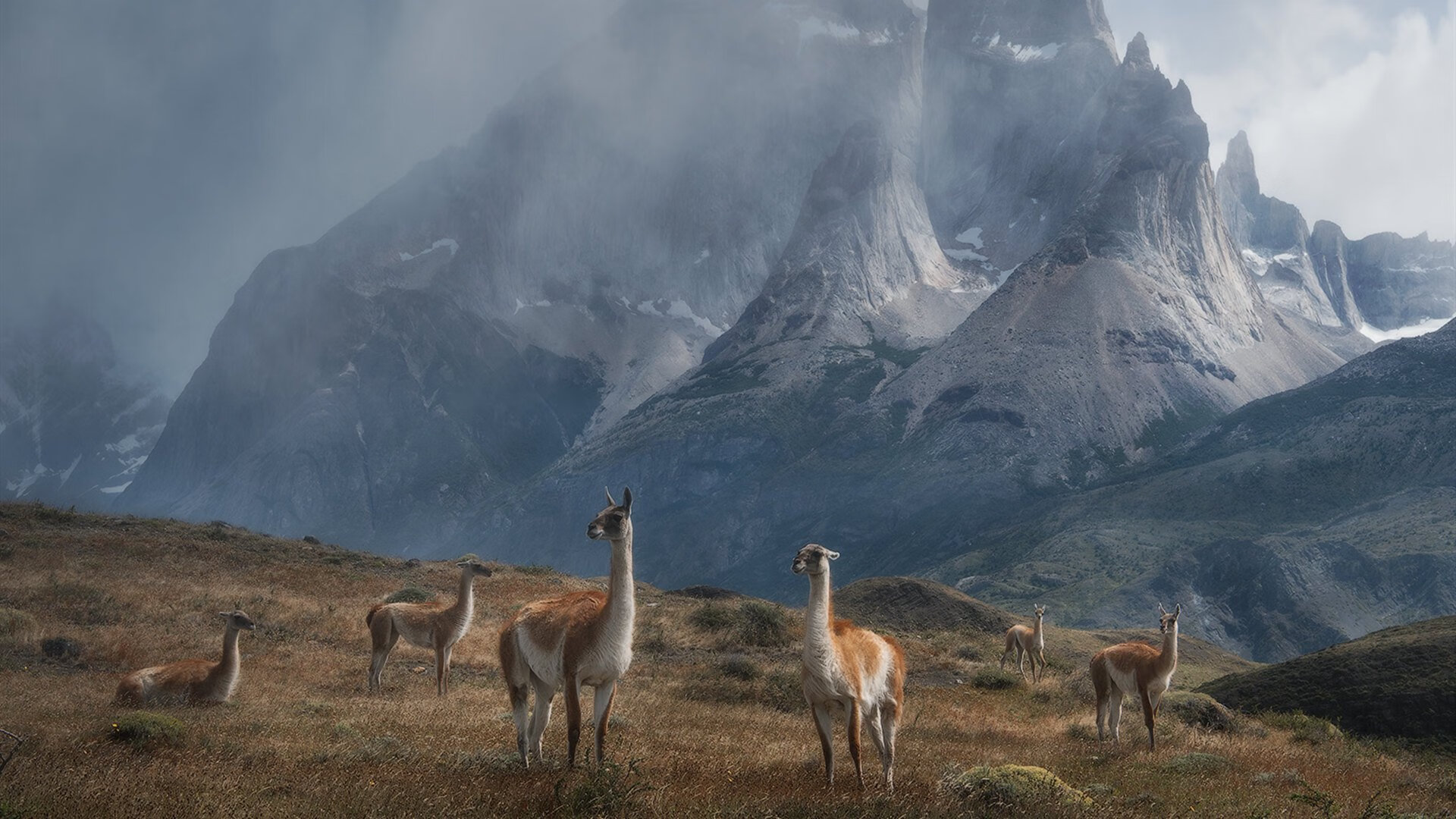 开云平台-首尔SK骑士客场表现稳健，首尔kspo dome