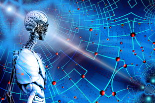 Kaiyun(中国)开云-高校运动训练科学管理模式创新，科学的运动训练管理系统应包含哪些方面