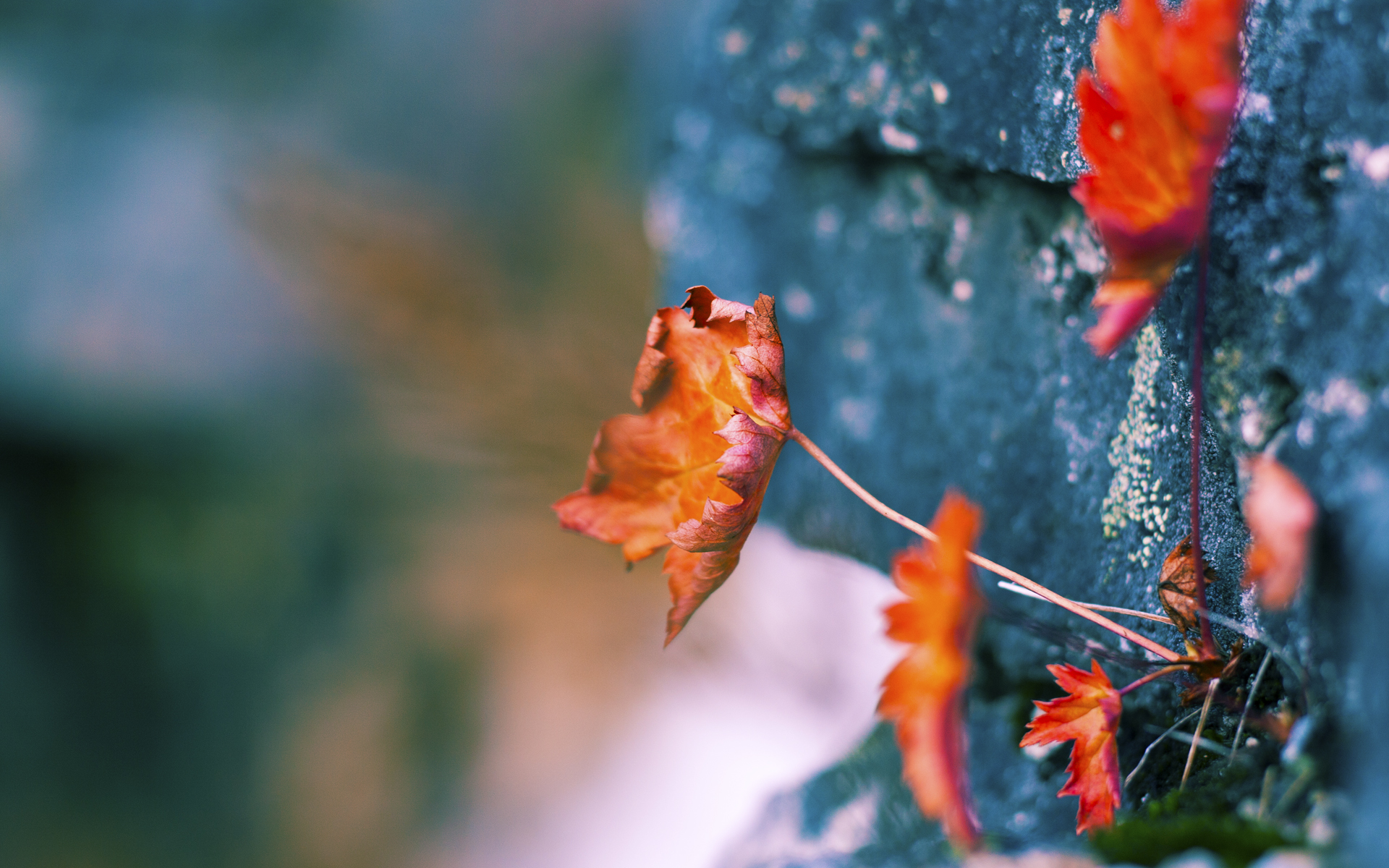 中前场传导速度是否左右比赛节奏主导方归属，中场传球运用最多的是什么传球