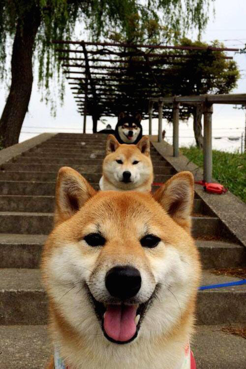 开云官方网站-体育新闻中心启动体育赛事虚拟现实内容开发，最新的体育赛事新闻稿