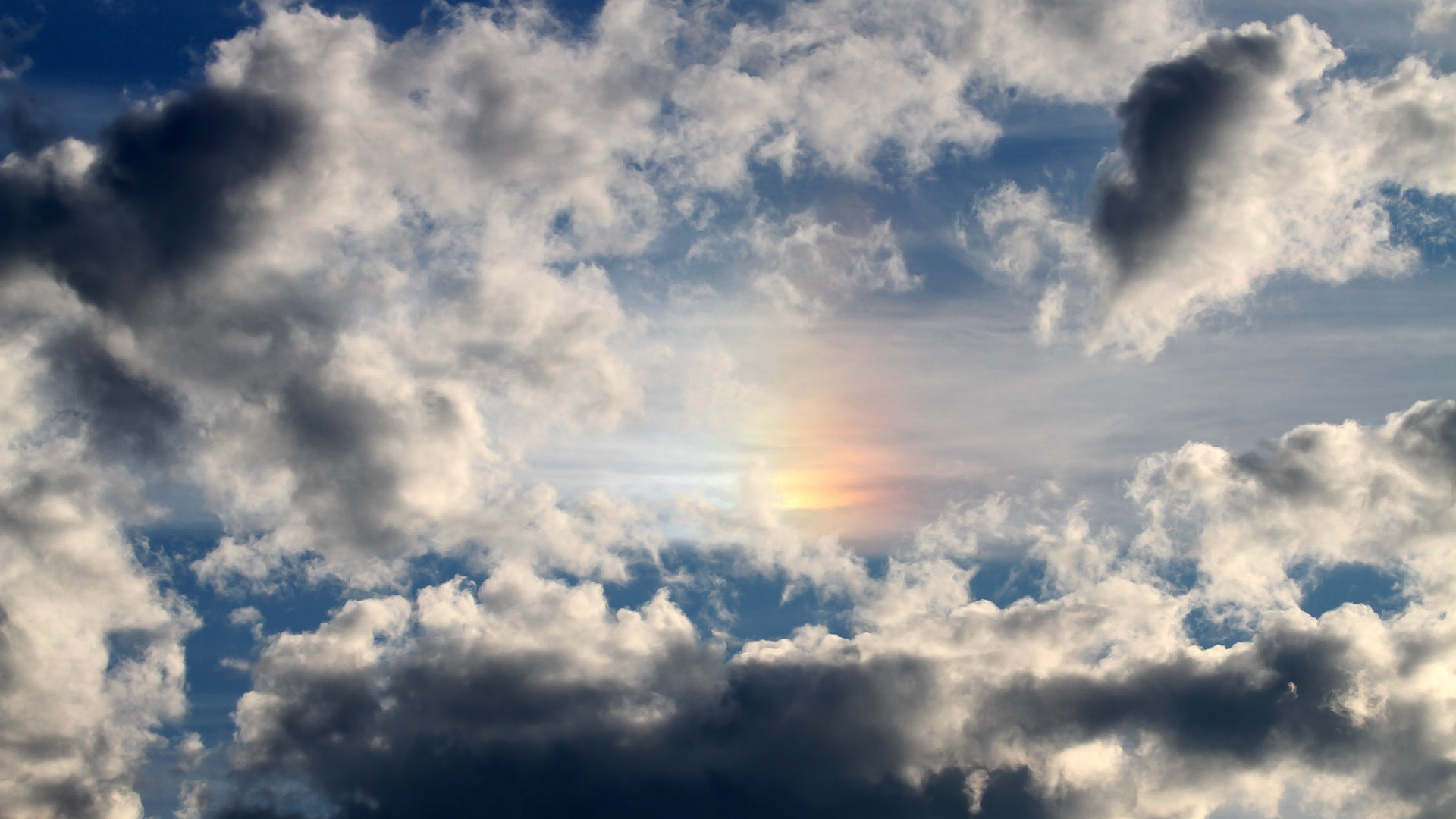 体育新闻中心推动基层体育数字媒体发展战略,体育行业新闻