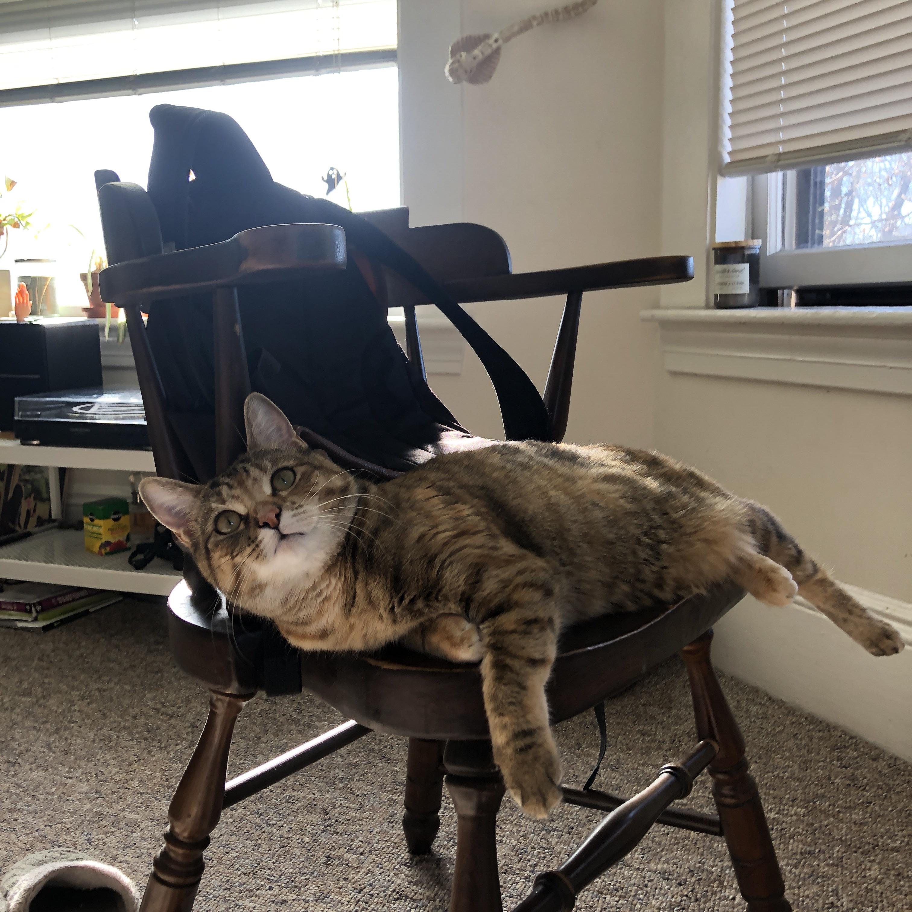 开云-新疆男篮不断创新打法提升比赛竞争力，新疆男篮实力