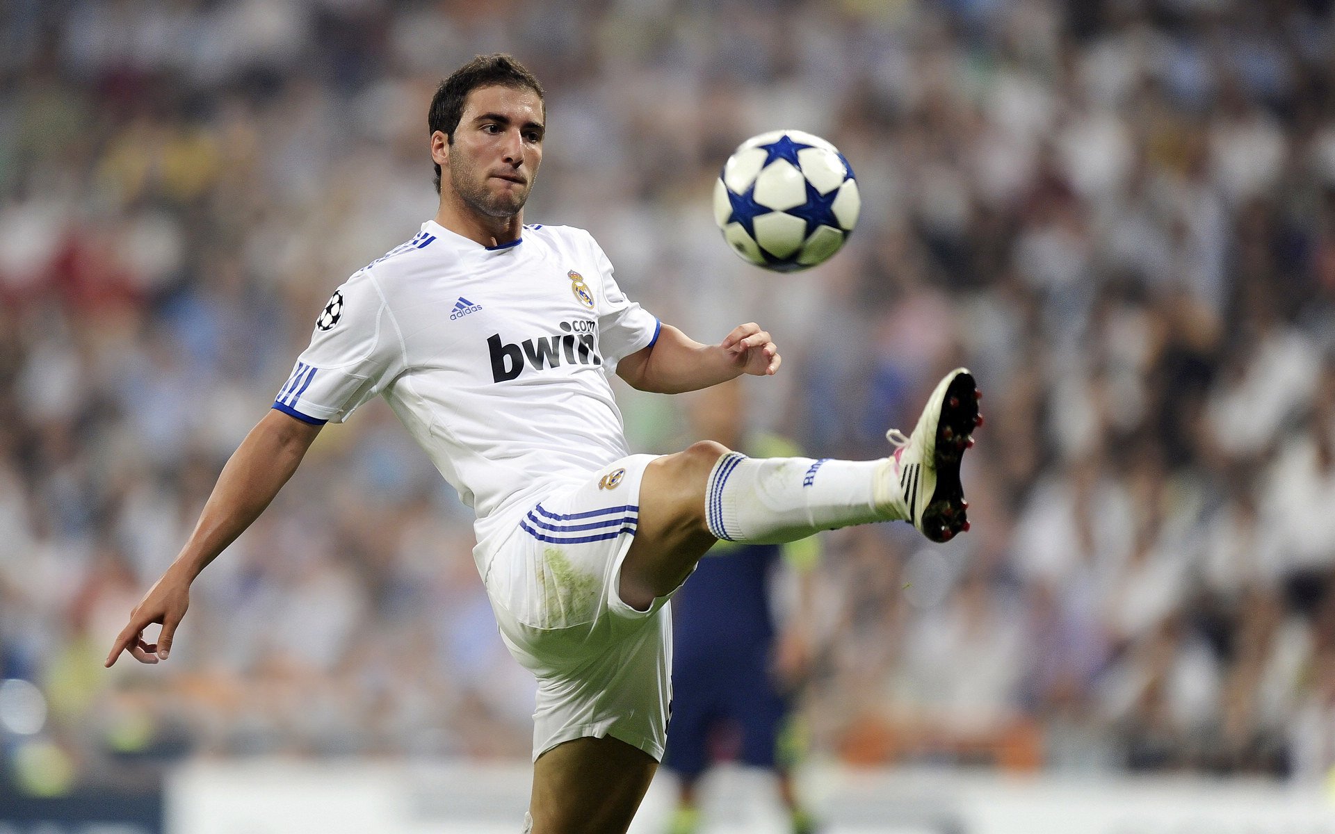 替补席能量爆棚的经典案例，替补席小礼品