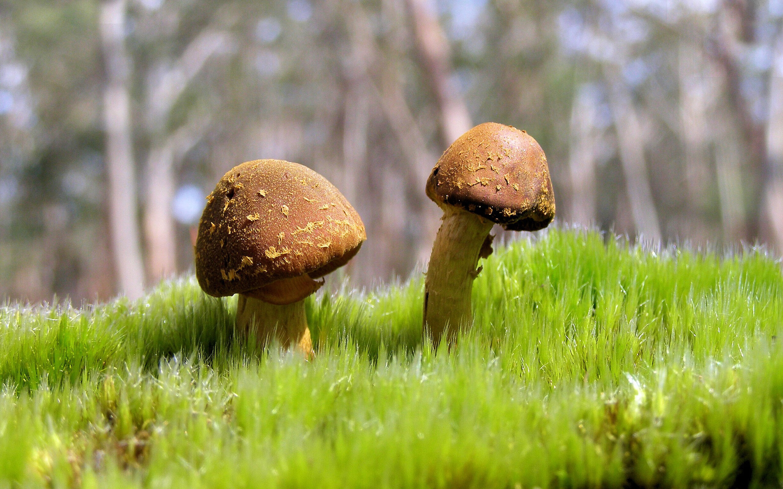 球队在末节如何维持进攻节奏