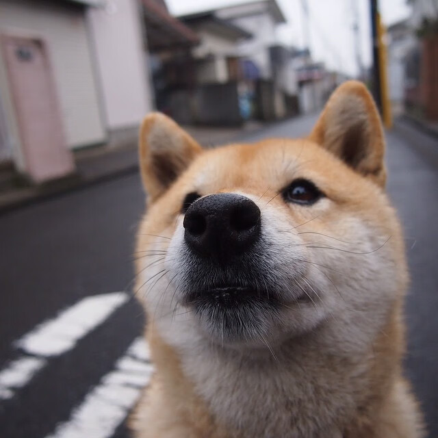 国家青少年训练营夏令营官方报名通道即将开放,2021全国青少年夏令营