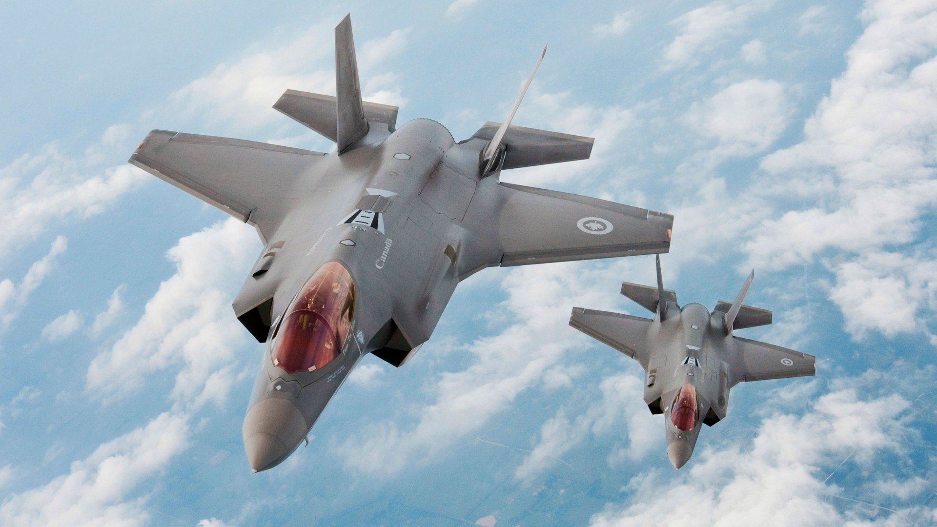 kaiyun体育综合-杰克·阿莱克西完美入水点燃现场氛围，杰克莱斯