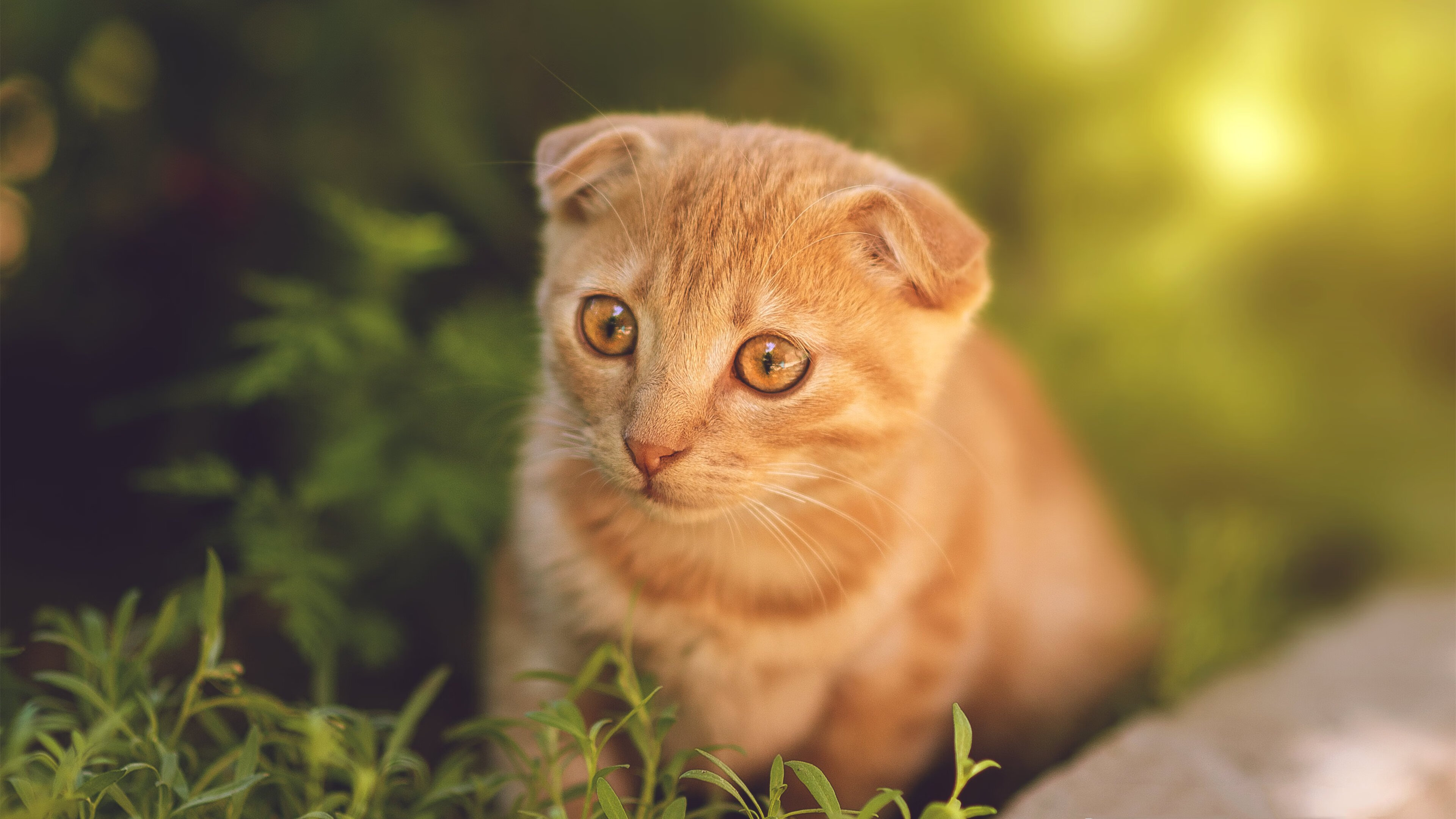 kaiyun.com-水球队战术与体能训练融合更加紧密，水球队是什么意思