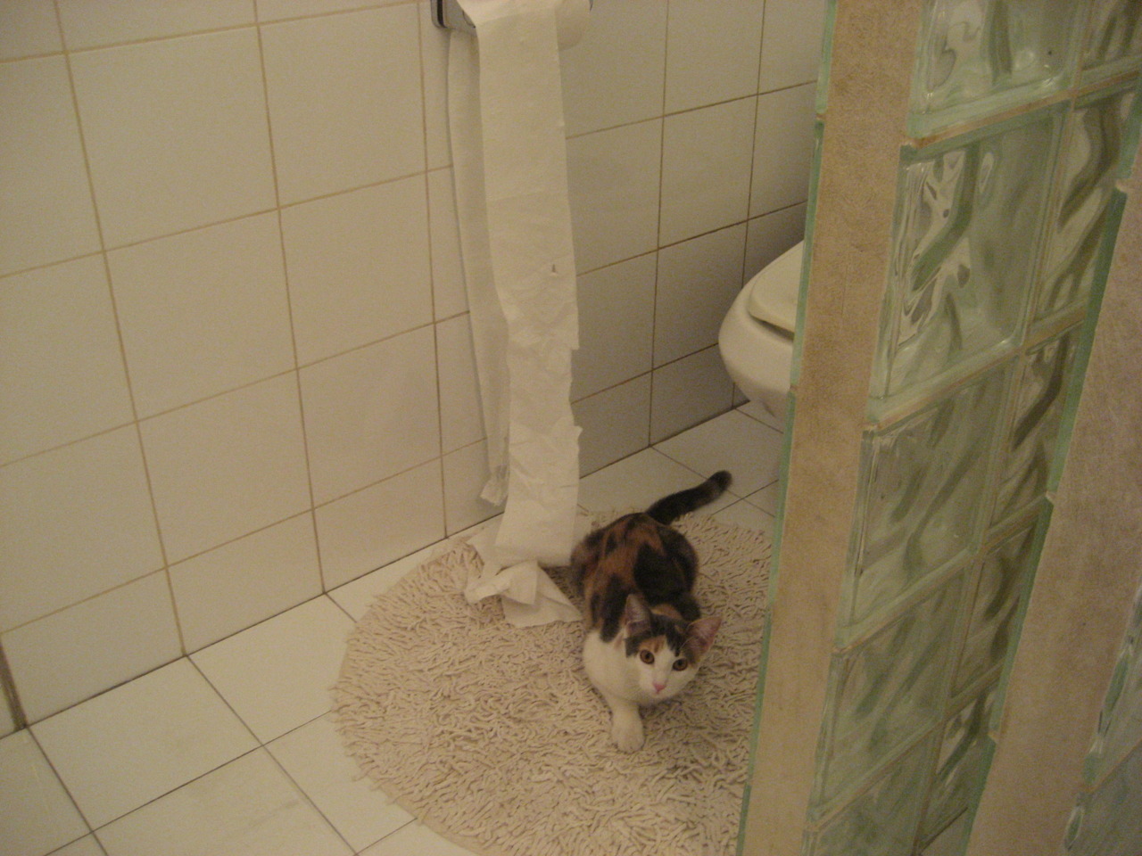 开云官网-火箭社交账号每日更新训练图集，火箭聊天软件叫什么