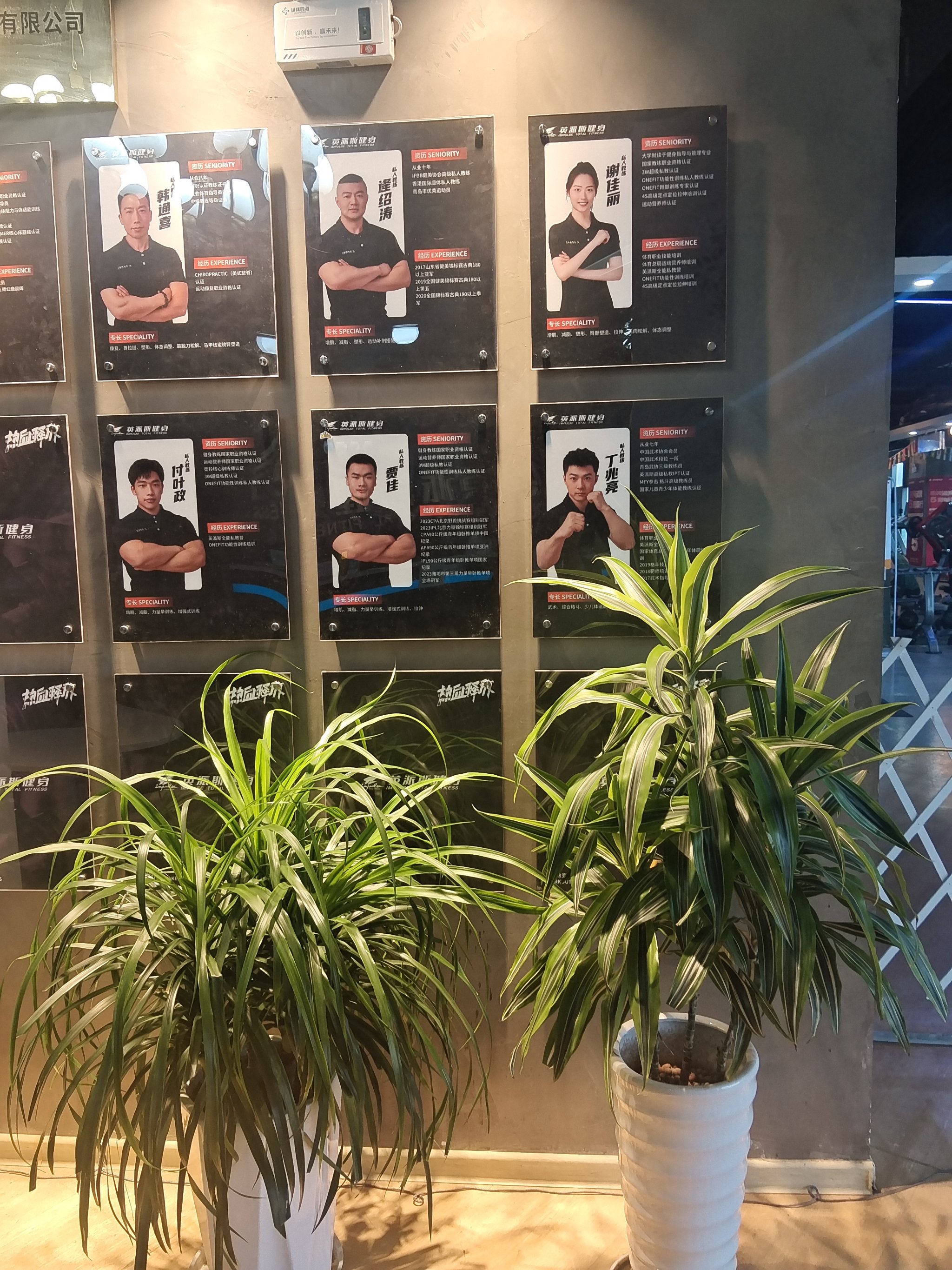 开云体育:国际游泳比赛的背后故事，优秀教练团队的支持的简单介绍